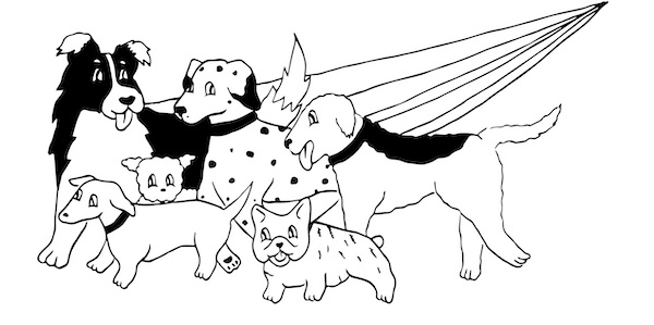 promenade chien Toulouse